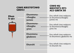 Ehun, yi mɛ nu vevi amɛnɛ lɔwo koɖo ehun mɛ nu wliwliwo