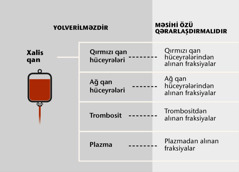 Qan, dörd əsas hissəsi, qanın fraksiyaları