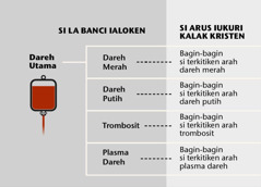 Dareh, empat bagin utama dareh, ras bagin-bagin si terkitiken