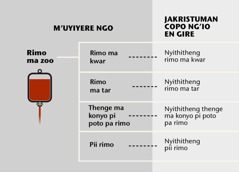 Blood, its four main parts, and blood fractions