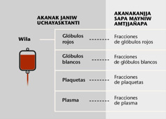 Wila, glóbulos rojos, glóbulos blancos, plasma, plaqueta, fracciones sanguíneas