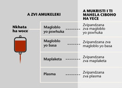 Nkhata, 4 wa zvipandze zva wona zva tshinya, ni zvipandzana zva nkhata