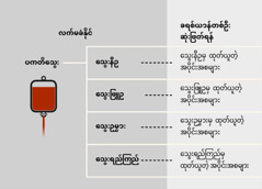 သွေး၊ အဓိကသွေးအစိတ်အပိုင်းလေးမျိုး၊ သွေးအပိုင်းအစငယ်များ