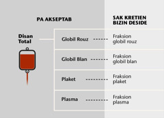 Disan, so kat parti prinsipal, ek bann fraksion disan