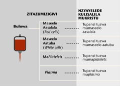 Bulowa, zipanzi zine zyabulowa atupanzi tuniini twabulowa