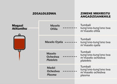 Magazi, mbali zake zikulu-zikulu, komanso tumbali tung’ono-tung’ono twa m’magazi