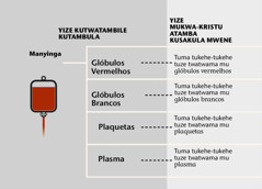 Manyinga, yihanda yiwana ya mu manyinga, ni tuma tukehe-tukehe twatwama mu manyinga