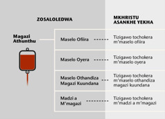 Magazi amapangidwa ndi zigawo zikuluzikulu 4,  ndi tizigawo ting’onoting’ono