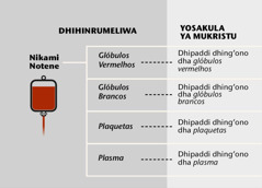 Blood, its four main parts, and blood fractions