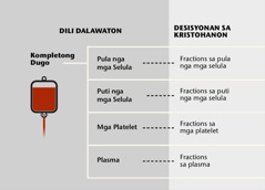 Dugo, upat ka pangunang sangkap niini, ug blood fractions