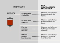 Umulopa, ifikalamba fine ifyapanga umulopa, no tunono uto bafumya ku mulopa