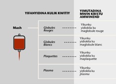 Mash, yikunku yinying yijim, ni yikunku yikemp yikemp ya mash