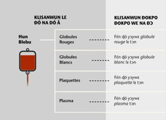 Blood, its four main parts, and blood fractions