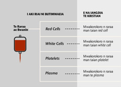 Blood, its four main parts, and blood fractions