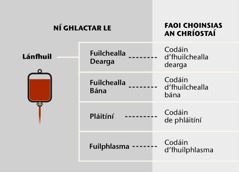 Fuil, a ceithre príomhpháirt, agus codáin fola