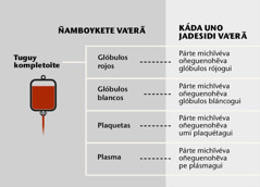 Pe tuguy, umi 4 párte iñimportantevéva, ha umi párte michĩvéva