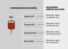 Jini, sashe hudu na jini, da kuma kananan sassan jini