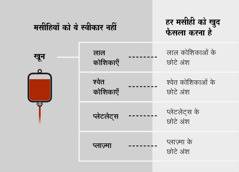 खून, उसके चार बड़े अंश और छोटे-छोटे अंश