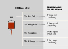 Thi, a bik in ṭhenmi thi phunli le thi cheubang