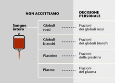 Il sangue, i suoi quattro componenti principali e le frazioni