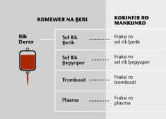 Rik, ḇar rifyak ḇefandun ro rik, ma fraksi darah