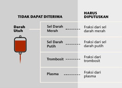 Darah, keempat bagian utamanya, dan fraksi darah