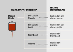 Darah, keempat bagian utamanya, dan fraksi darah