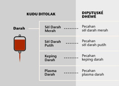 Darah, patang bagéan utama darah, lan pecahan darah