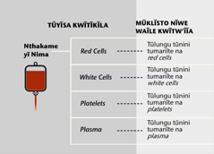 Nthakame, ila ilungu inya nene syayo, na tũlungu tũnini twa nthakame