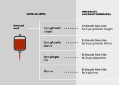 Omusasi, ebihande bwagho bini bikulu-bikulu, n’ehitsweka hy’omusasi