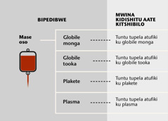 Mase, bipindji byao bikata binanka, na tuntu tupela twa mu mase