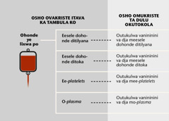 Blood, its four main parts, and blood fractions