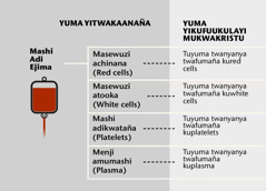 Mashi, yuma yamaneni yiwana yekalamu nituyuma twanyanya twekala mumashi