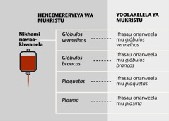 Nikhami, makupa aya maxexe oochuneya, ni ifrasau sa nikhami