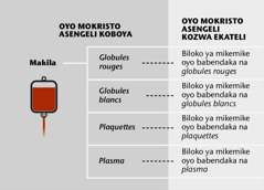 Makila, biloko minei oyo esalaka makila, mpe fractions sanguines