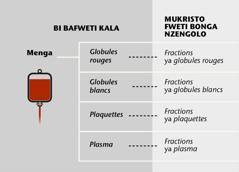 Menga, bima bia biyá bia nguri bie mu menga na fractions de sang