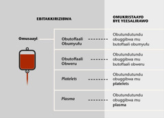 Omusaayi, ebitundu byagwo ebina ebikulu, n’obutundutundu obuggibwa mu musaayi