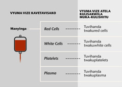 Manyinga, vyuma viwana vyatunga manyinga, natuvihanda twatundende twatunga manyinga