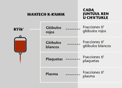 Kʼiʼikʼ, le kanpʼéel baʼaloʼob ku jóoʼsaʼal tiʼ le kʼiʼikʼoʼ yéetel fracciones sanguíneas