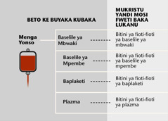 Menga, bitini na yo iya ya nene, mpi bitini ya fioti-fioti ya menga