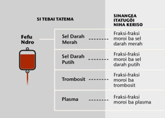 Do, si öfa faosatö ndro, hegöi fraksi-fraksi darah