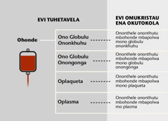 Blood, its four main parts, and blood fractions