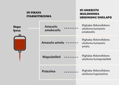 Ilopa, ifighaba ifinywamu 4, nu ifighaba ifidonofidono