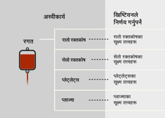 रगत, त्यसका मूल चार तत्त्व र रगतका सूक्ष्म तत्त्वहरू