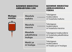 Mulopa, bzigawo bzinai bza mulopa, tubzigawo twa mulopa