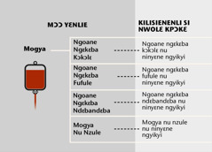 Mogya, nuhua ninyɛne titili nna, nee mogya nu ninyɛne ngyikyi