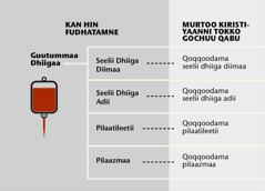 Dhiiga, kutaawwan isaa guguddaa arfanii fi qoqqoodama dhiigaa