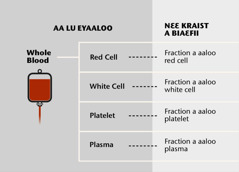 Miī, nia gbɛnɛ gah a le loo miī, le blood fraction