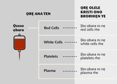 Ọbara, eghọn ẹne ra ghaleriẹ rhọ, kugbe eghọn ekokamu erọrọ