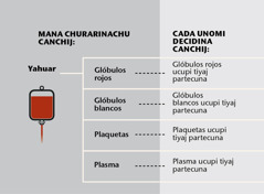 Sangre, componentes principales y fracciones sanguíneas